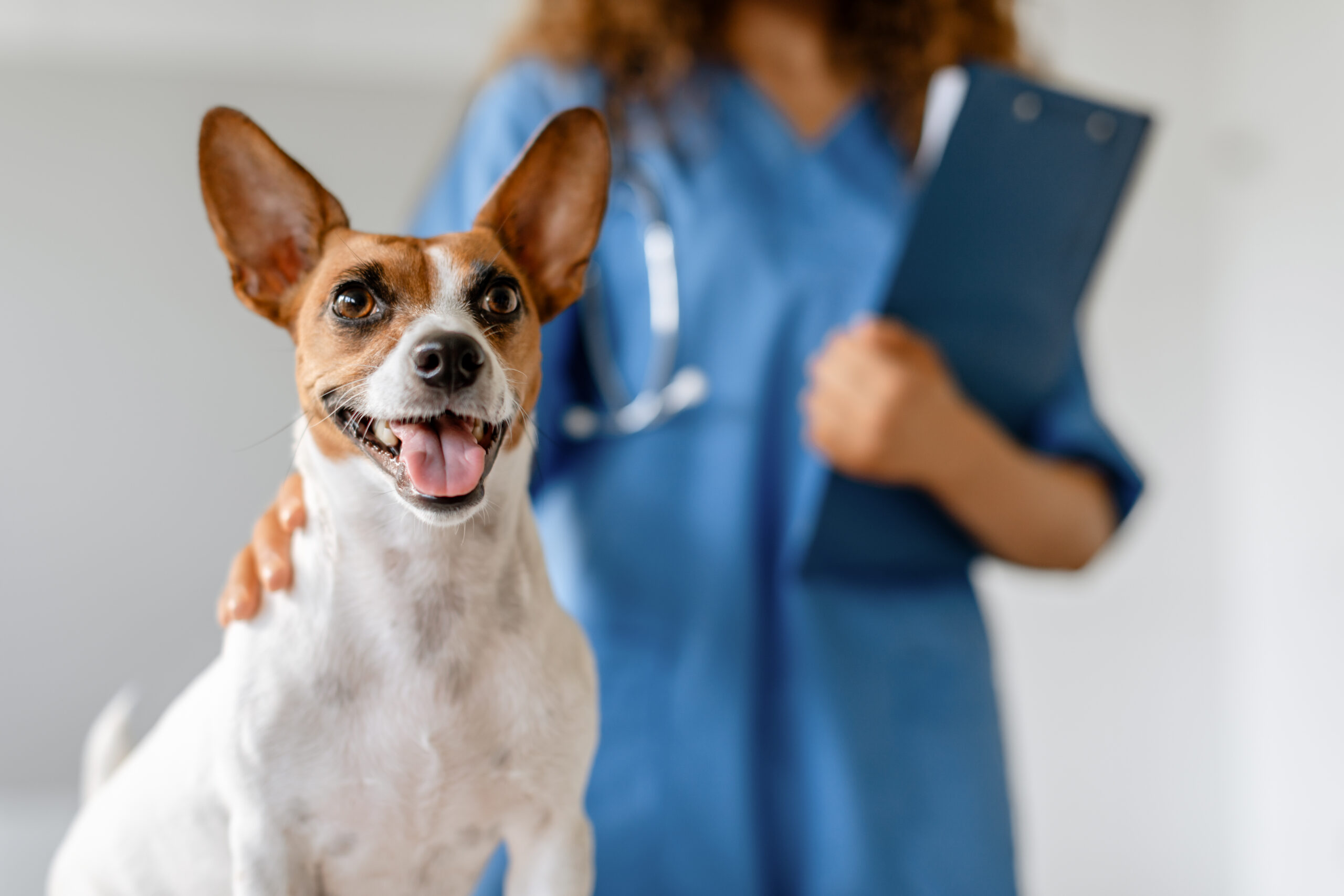 happy-dog-with-vet-in-background