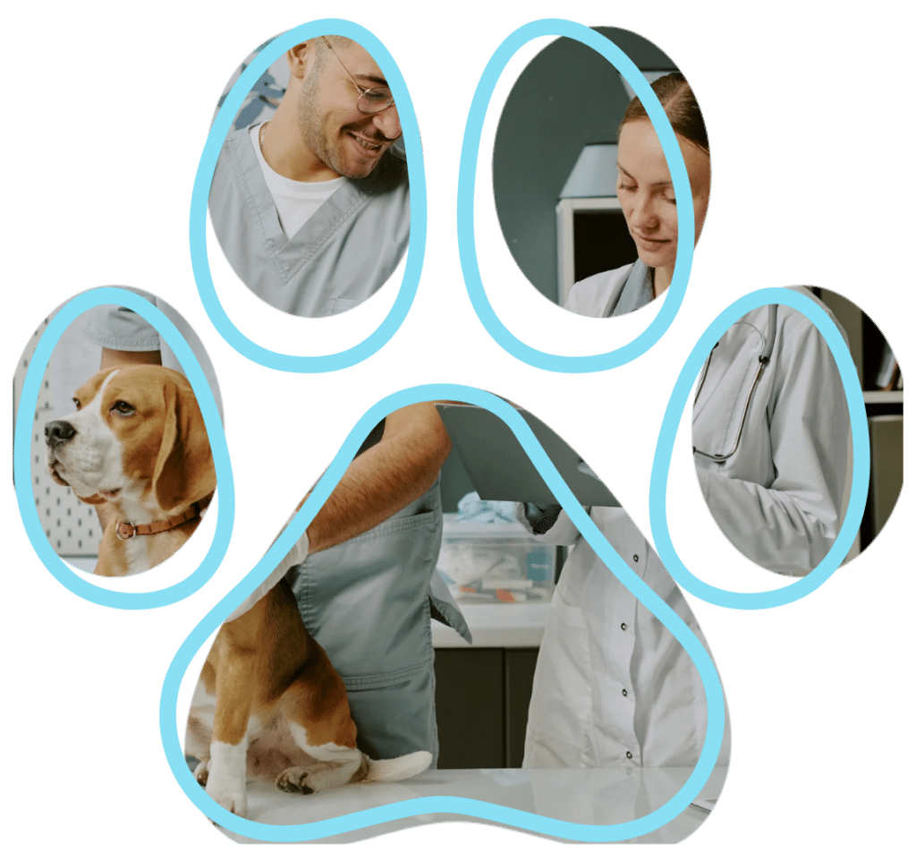 Vet near me dog wellness exam at Premier Animal Wellness & Surgery Hospital PAWSH Bowling Green
